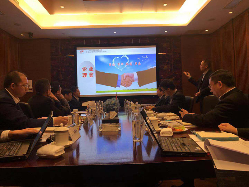 四川天馬玻璃有限公司第三屆第五次董事會成功召開(圖3) 四川天馬玻璃有限公司第三屆第五次董事會成功召開(圖3)